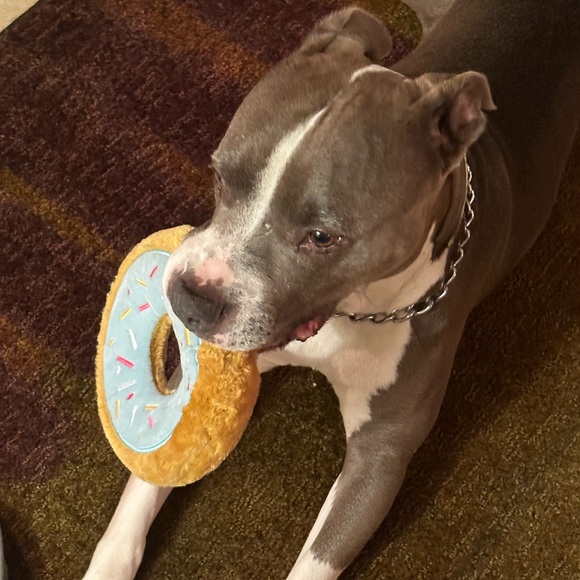 SALE - RAISING MONEY FOR CANCER TREATMENT! - Picture 5 of 12